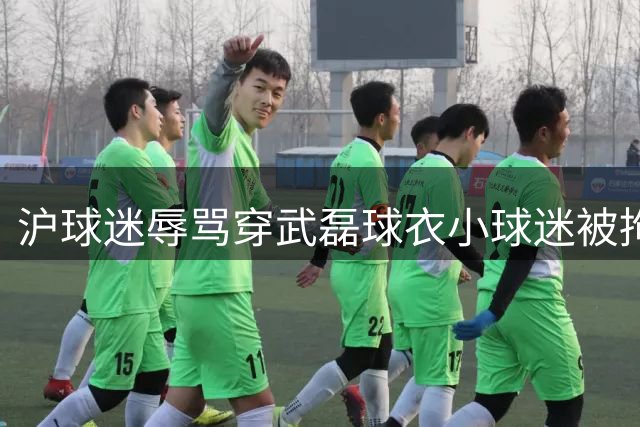沪球迷辱骂穿武磊球衣小球迷被拘 警方呼吁文明观赛